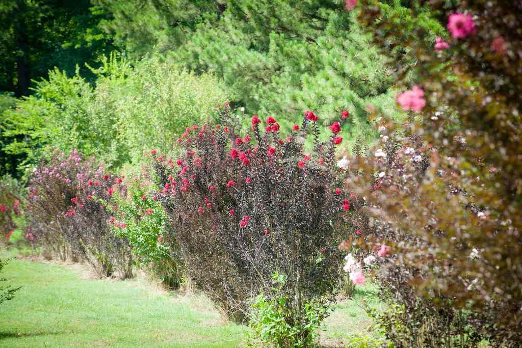 Gazebo Parts Direct Sales Store 11 Gazebo Parts Direct Sales Store -Suministros De Jardineria Ventas 2024 UrSltvhM