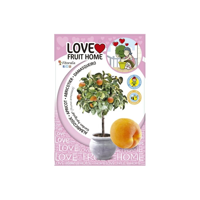 Albaricoque Enano Certificado M.P.S 3 Albaricoque Enano Certificado M.P.S